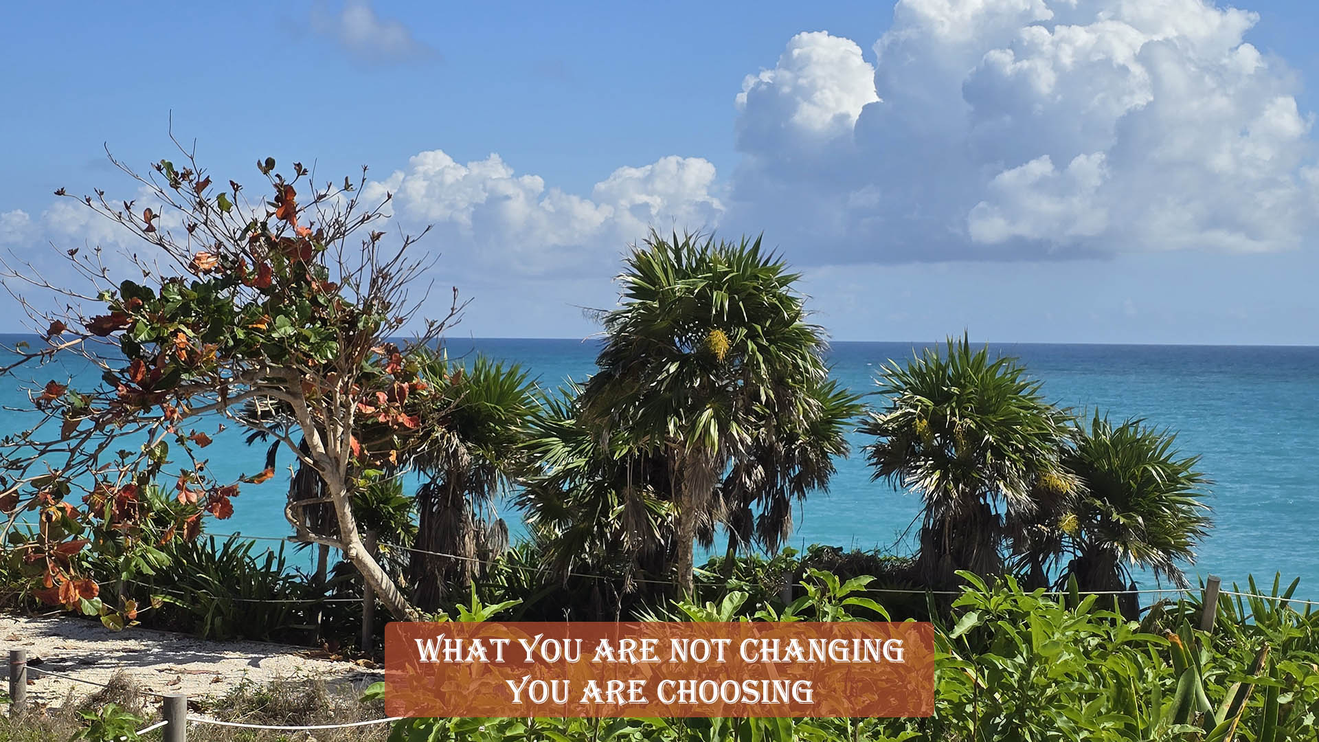 Getting Too Attached